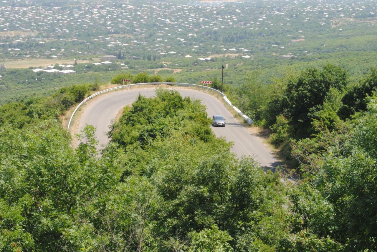 Tsanava'S Cottage In سينغناغي المظهر الخارجي الصورة