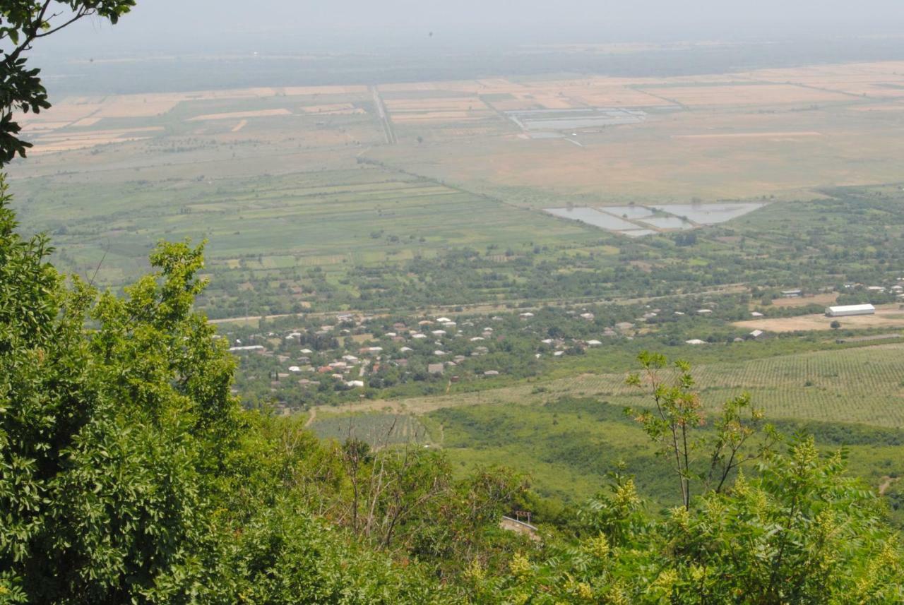 Tsanava'S Cottage In سينغناغي المظهر الخارجي الصورة